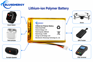 แบตเตอรี่ลิเธียมไอออนโพลิเมอร์บลูเซ็นเนอรี่ 5000mAh 3.7V สำหรับอุปกรณ์อิเล็กทรอนิกส์สำหรับผู้บริโภค - Product Image 3