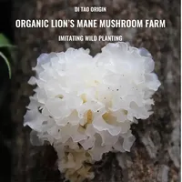 Poudre de champignon de neige biologique de haute qualité Qinshantang, Beta-d-glucane≥40%, extrait de Tremella Fuciformis