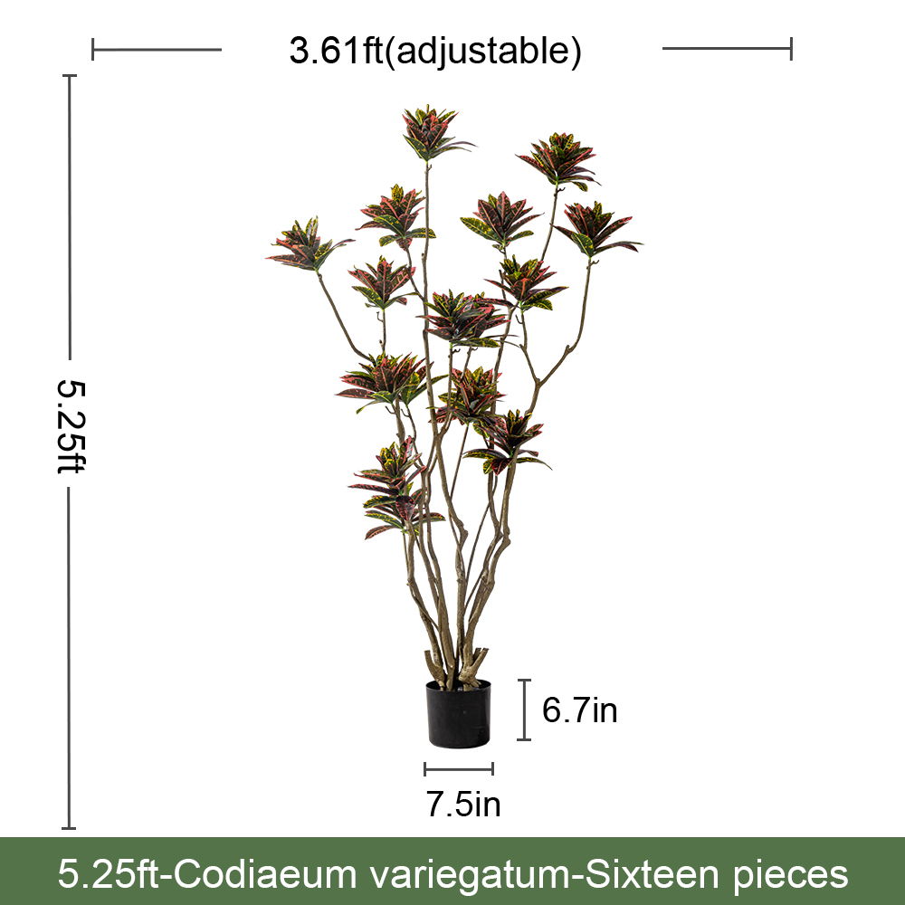 5.3FT/160CM