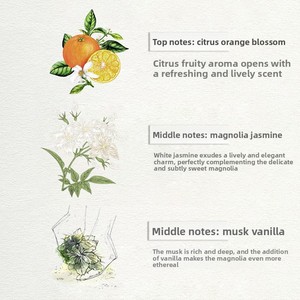 Il marchio TikTok vende a caldo un milione di <span class=keywords><strong>profumo</strong></span> per donne a lunga durata <span class=keywords><strong>profumo</strong></span> di luce fresca per studenti e uomini - Product Image 4