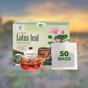 OEM/ODM 20 Cajas MOQ 100g Té Herbal Puro de Hojas de Loto 100% Orgánico Premium 2g por Bolsita de Té Salud Natural de Vietnam Vida Útil de 2 Años - Product Image 1