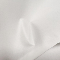 Direkt vom Hersteller: Premium Eco-Solvent Fotodruck-Stoff mit Hochglanz, Lebendigen Farben, Wasserfest und Rissbeständig