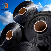 Geomembrana HDPE de Alta Calidad ASTM, Revestimiento Anti-UV para Tanques, Estanques de Piscifactorías, Depósitos de Agua y Embalses