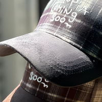 Topi Bisbol Bordir Motif Kotak-kotak Jepang Unisex, Dapat Disesuaikan, 6 Panel, Visor Berhuruf, untuk Musim Gugur dan Musim Dingin, Gaya Kasual