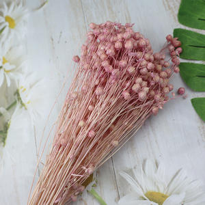 Flores decorativas, suministro de floristería, Frijol de Acacia, semilla de lino en conserva seca, ramo de frutas, ramo de Linum, frijol de lino, fruta - Product Image 1