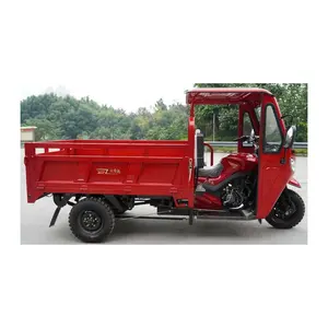 Tanzania Gas 4-Stroke Motorized Tricycles Car for Cargo / New Type Motor Cycle Automatic Dump Motorized Cargo Tricycle