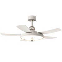 Nouveau 2025 – Ventilateur de plafond LED de luxe 52 pouces avec éclairage et lampe, prix usine
