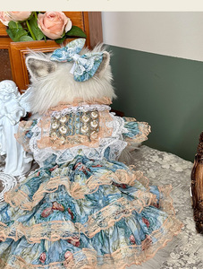 Venta al por Mayor y Dropshipping: Vestido de Encaje Hecho a Mano de Primera Calidad, Estilo Mansión Francesa para Gatos - Product Image 1