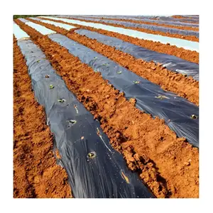 Bestseller Mulch folie Landwirtschaft licher Mulch film landwirtschaft licher Kunststoff