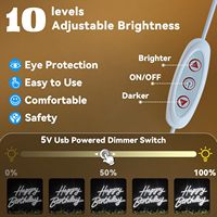 Lampu Neon LED Happy Birthday Multi Warna Custom IP65 Tahan Air, Dapat Diredupkan via USB, Lampu Latar Pesta untuk Acara Ulang Tahun