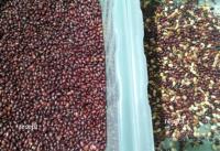 WenYao haute précision CCD Grotech riz couleur trieur noix grain maïs cacahuète graine haricot riz couleur trieur Machine couleur trieur