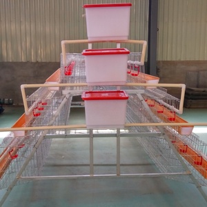 Chicken Coop Cage Farming Equipment Chicken <strong>Feeder</strong> a Type Battery Cage Rooster Cages for Laying <strong>Hens</strong> 2000-5000 <strong>Birds</strong> Capacity - Product Image 3