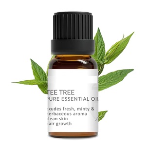 OEM ODM 100% aceites de aromaterapia puros 10ml difusor masaje humidificador aceite esencial de lavanda natural orgánico - Product Image 6