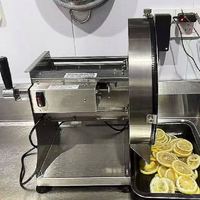 Elektrische fruitsnijmachine van roestvrij staal, groentesnijder, citroen- en aardappelsnijmachine voor gebruik in restaurants en catering.