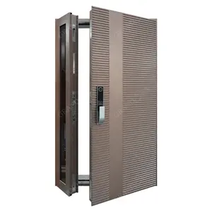 새로운 디자인 럭셔리 현대 철 보안 강철 및 알루미늄 조각 금속 아트 도어 보안 문 집