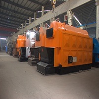7 Ton WNS Hoge Efficiëntie Brandstofbuis Lage Druk Hete Water Industriële Biomassa Ketel voor Indonesische Palmoliemolen, MIGAS Goedgekeurd