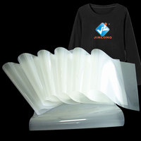 DTF PET Film de transfert de papier A3 A4 A3 + feuille T-shirt Film DTF de transfert de chaleur pour imprimante Epson L1800 R1390 R805 DTF