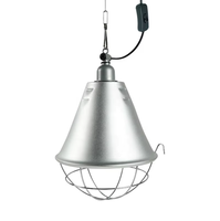 Lampe Chauffante Halogène en Gros pour l'Élevage de Volailles, Équipement Chauffant Économe en Énergie pour Poussins, Idéal pour les Fermes d'Élevage