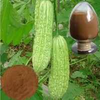 Extrait de Charantin Naturel en Vrac, Soluble dans l'Eau, Extrait de Fruit de Melon Amer