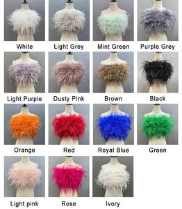2025 Sexy mode soirée culture moelleux fourrure haut licou cou sangle dos nu plume gilet femmes Bikini autruche plume haut - Product Image 6