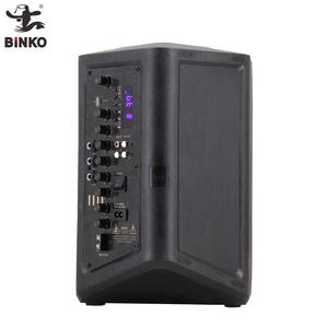 Für BINKO Portable Party Lautsprecher 300W Ausgangs leistung Wireless BT 5.0 Karaoke System RGB LED-Beleuchtung Subwoofer für Innen computer - Product Image 5