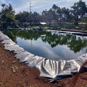 Revestimiento de Geomembrana HDPE de espesor personalizado a prueba de fugas para <span class=keywords><strong>humedales</strong></span> <span class=keywords><strong>artificiales</strong></span> de Lago decorativo y paisajismo urbano - Product Image 3