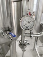 Cuves de fermentation pressurisées coniques en acier inoxydable 300L 304 Réservoir gainé