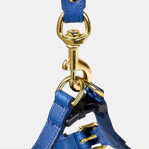 ODM OEM Hundegeschirr und Hundekotbeutel-Set Personalisiertes Design Luxuriöses Wasserdichtes Leder-Hundehalsband und Hundeleine - Product Image 5