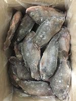 Tilapia Entière Congelée de Haute Qualité 100-200g 200-300g 10% 20% Glazing Emballage en Vrac 10kg/carton Poisson Congelé pour le Marché Africain