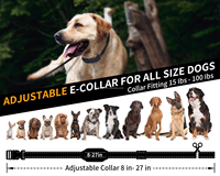 2-in-1 Luxus-Hundehalsband und -Leine aus Nylon mit Fernbedienung, Schocktraining, Piepton, Vibration, 9 Stufen, 1000m Reichweite, Wasserdicht, Verstellbar, Ergonomisch