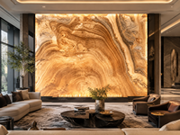 Dalles translucides en onyx jade paon pour murs rétroéclairés, dessus de table décoratifs, tables d'appoint, dessus de meuble-lavabo et revêtements intérieurs