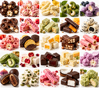 Ligne de production automatique de revêtement au chocolat pour la transformation des copeaux de noix de coco, des flocons de noix de coco et des cubes de noix de coco