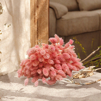 Fleurs séchées du fabricant : Queue de lapin rose corail (Lagurus), style pampa, touffe moelleuse, pour décoration intérieure, réutilisable