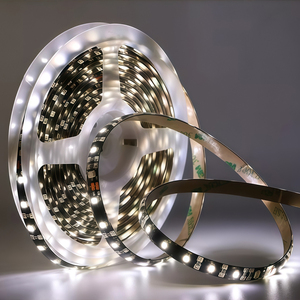Striscia LED ESann a Bassa Tensione Impermeabile IP65 60 LED/m SMD5050 PCB Nero 12V 24V DC 14.4W/M Nastro LED CRI 80 90 Adesivo 3M - Product Image 2