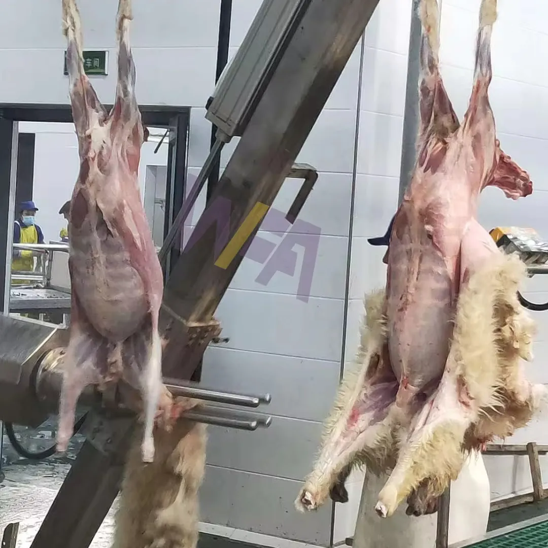 Ligne d'abattage de moutons avec équipement d'épluchage de bétail de machine de retrait de peau de chèvre pour l'abattoir d'agneau