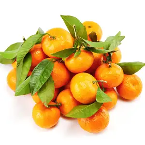 Bán Buôn Trung Quốc Cao Cấp Tươi Citrus Không Hạt Tangerine Lá Nhỏ Tangerine Mandarin