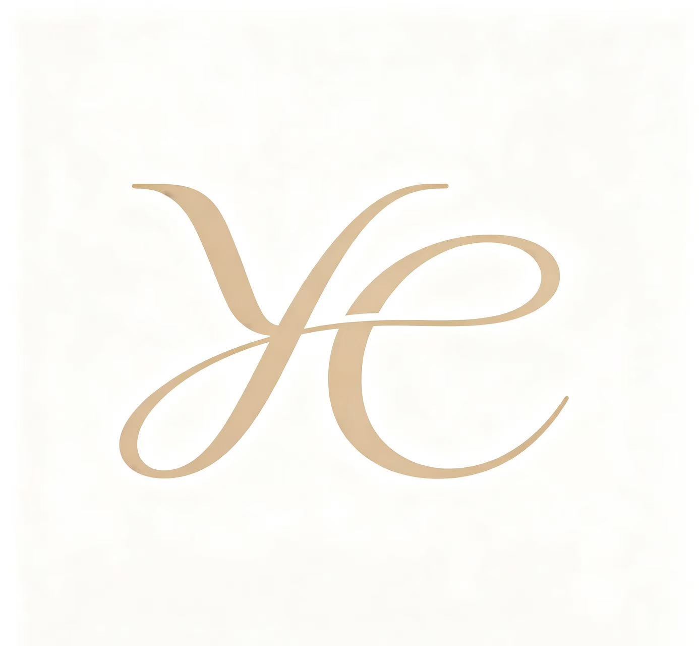 Ganzhou Nankang District Yuechun Home Furnishing Co., Ltd. logo