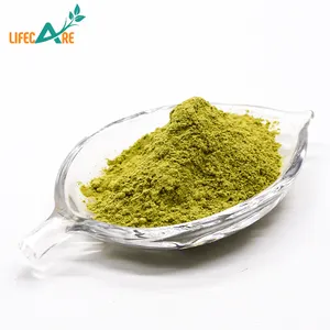 Polvo de té verde Macha de alimentos saludables, polvo de Matcha de alta calidad