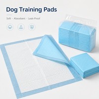 Tapis d'apprentissage pour chiots, doux, non tissés, super absorbants, avec noyau SAP, séchage rapide, anti-fuite, support PE, vente en gros OEM