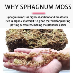 Terre de rempotage de mousse de sphaigne de luxe de 5.3oz pour plantes succulentes carnivores et orchidées-Sacs écologiques - Product Image 5