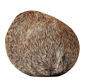 Aromatizante Líquido con Sabor a Musk, Soluble en Agua, <span class=keywords><strong>de</strong></span> Grado Alimenticio para Productos Aromáticos - Product Image 2