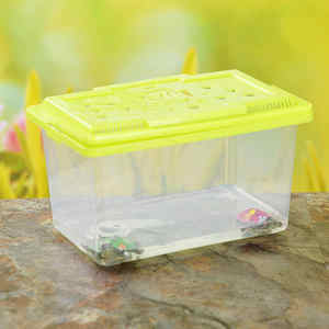 מלבני יד מרוח פלסטיק דג חילזון זוחל האכלה תחבורה פלטפורמת יד ביד מוחזק חיית מחמד מיכל צב דגים - Product Image 3