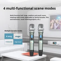 Amplificateur intégré 3-en-1 série TCT pour salle de karaoké, home cinéma, avec microphone sans fil Bluetooth