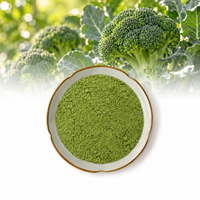 Poudre de brocoli naturelle en vrac, fût de 25 kg, Brassica Oleracea Italica
