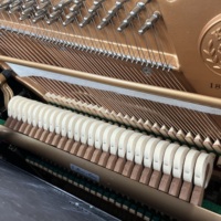 Genuine Kawai DS80 Top Grade DS Series Piano Imported Wool Hammers for Music Studio Teaching