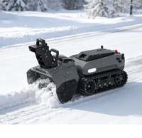 Souffleur intelligent télécommandé, 7HP, chenilles, 600mm de largeur de travail, 400mm de profondeur, portée de 500m pour la neige des allées de maison