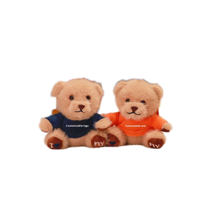 Portachiavi Personalizzato con Nome Orsacchiotto di Peluche Ciondolo per Zaino Giocattolo in Cotone PP Peluche Lavabile Regalo di Anniversario - Product Image 1