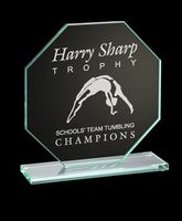 2016 Best qualität plexiglas klar glas trophy award