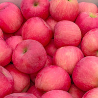 Nieuwe verse Fuji-appels, groene appels, rode Chinese vruchten, verse appels