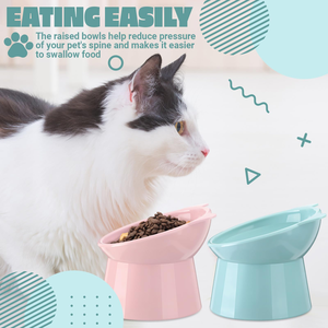 Bol d'eau et de nourriture pliable pour animaux de compagnie, en plastique solide écologique, portable, pour l'extérieur, pour chats et chiens, avec un design simple - Product Image 4